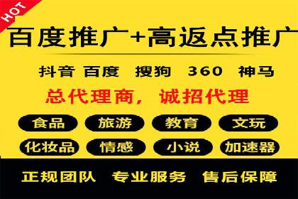 成功运用SEM服务实现品牌快速成长的案例