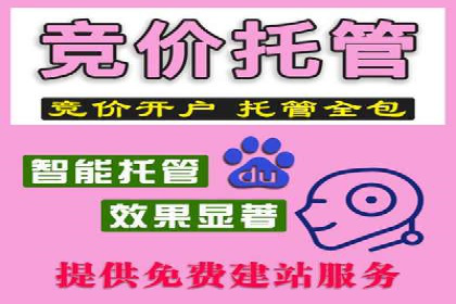 百度广告推广案例费用分析报告